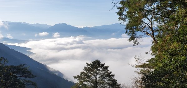 太平山見晴懷古步道2326076