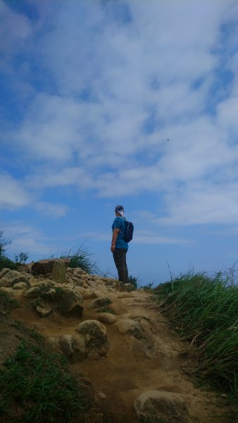 茶壺山、半屏山o縱950858