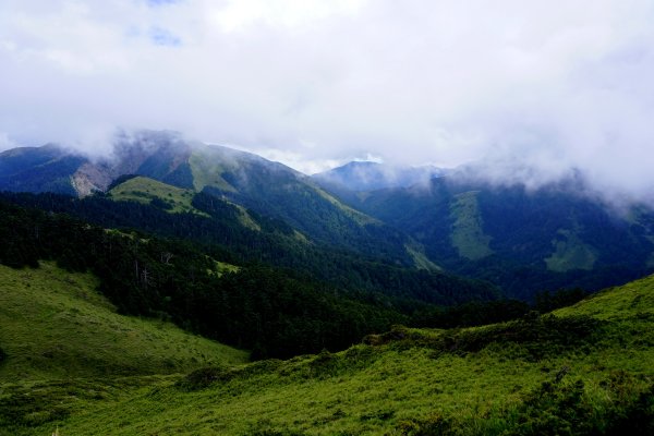 鳥山。不鳥 ~ 合歡西峰439662