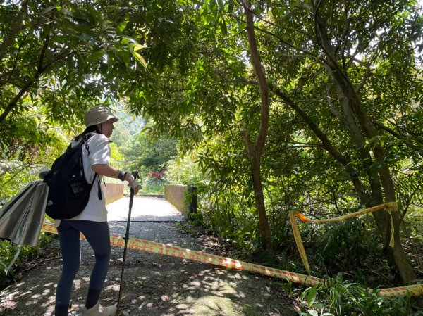 新北｜瑞芳．雙溪 淡蘭古道中路．暖東舊道（TK2-1~2-5 暖東峽谷步道、暖東舊道、五分山步道）2004157
