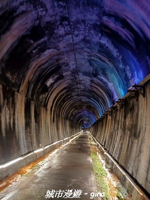 【苗栗】貓貍山公園功維敘隧道2981684