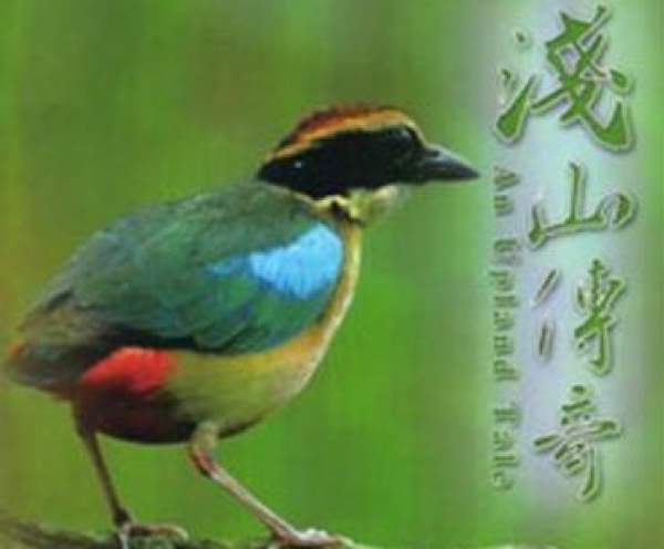 【DVD】淺山傳奇：雲林湖本八色鳥野生動物重要棲息環境