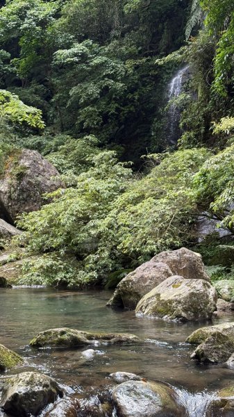 戲水（鴛鴦2786693