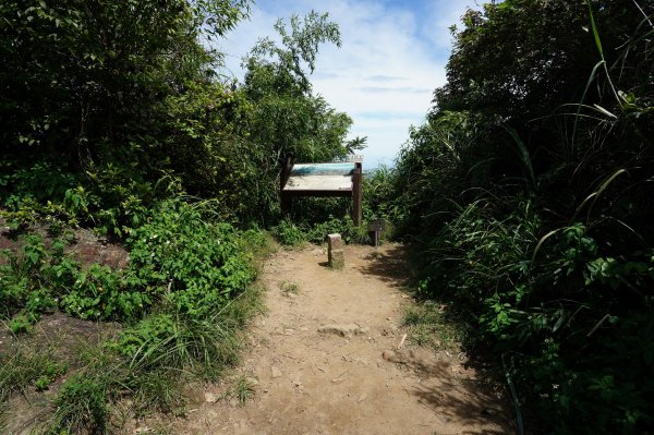 新竹 竹東 上坪山、五指山2541673