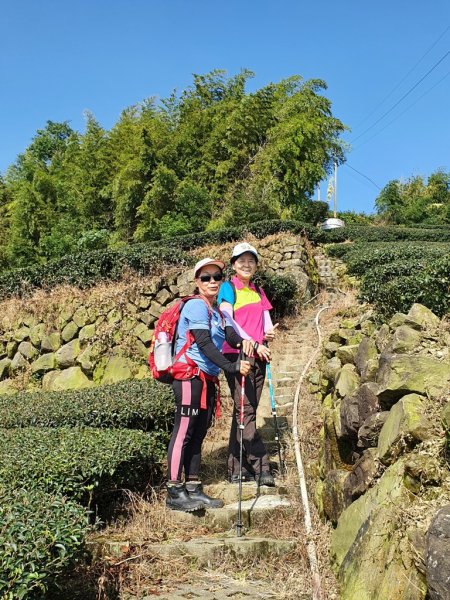 【雲嘉】後棟山連走大二尖山1478442