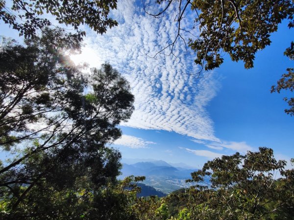 飛鳳山觀日坪古道2656249