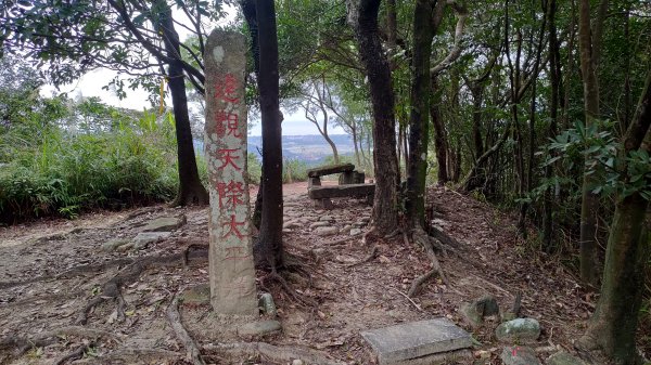 龍虎雙碑縱走2989643