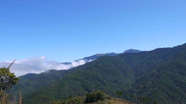 馬武佐野郡山登山健行趣(中級山)1508748