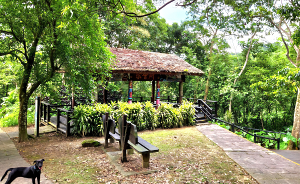 土城原住民族生態公園，柑林埤溝步道，湳仔溝自行車道，公八公園，樂榕榕綠園道