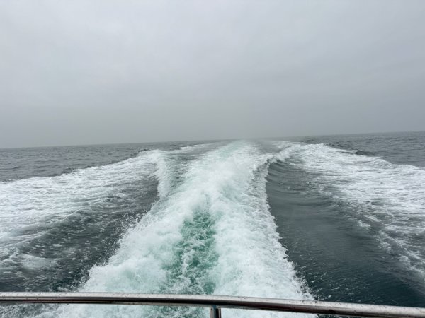 來去馬祖列島 Day 4-1 大坵島/無人島尋自由放飛梅花鹿3042785