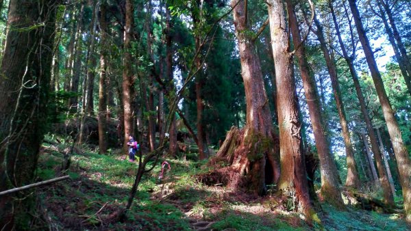 特富野、兒玉山、東水山、北霞山、一次滿足1005769