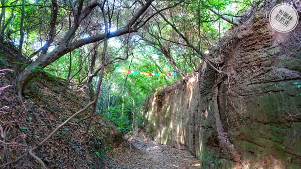 【彰化】八卦山一線天618999