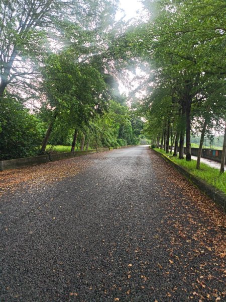 白河店仔口景觀公園2877450