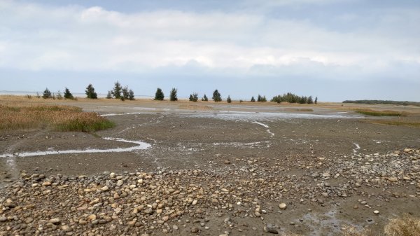 新竹車站巡禮~崎頂到香山2986456