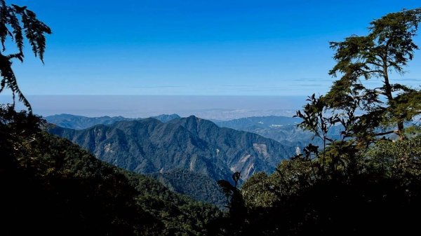 🌈11/15（六）松鶴上八仙山下森林遊樂區✨FB：熊熊趴爬走🌈2937666