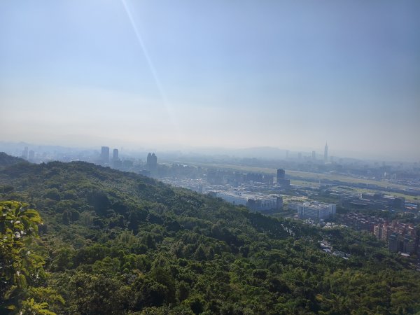 [百山百鳥尋旅-14/15] 2025_0929 劍潭山親山步道2900889