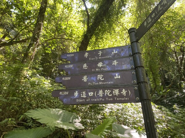 2025微笑山線大縱走尋寶集章任務-Ep.11【五分山系】平溪小黃山段｜慈母峰 × 孝子山2908899