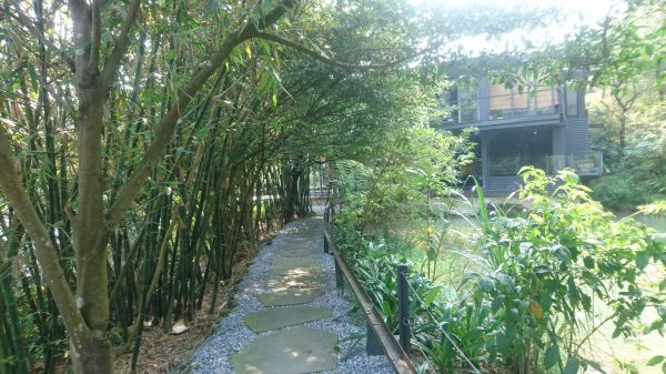 五指山古道O走-友蚋山-新山夢湖178442