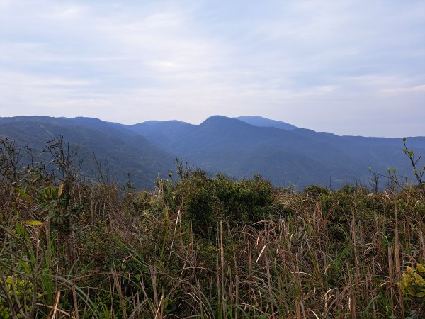 界寮縱走南段(五指山至劍潭山)+金面山步道2062479