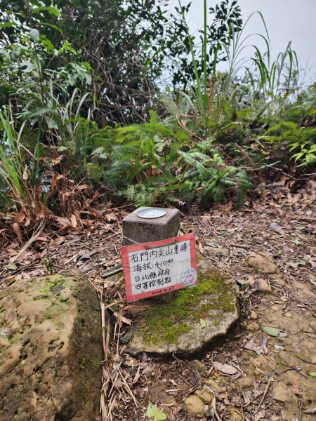 20241228 探索後花園2678338