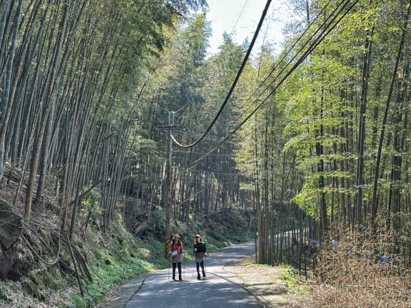 溪頭六連峰O繞2741760