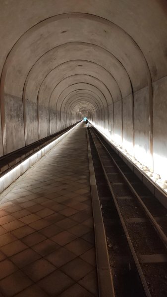 百吉林蔭步道3031341