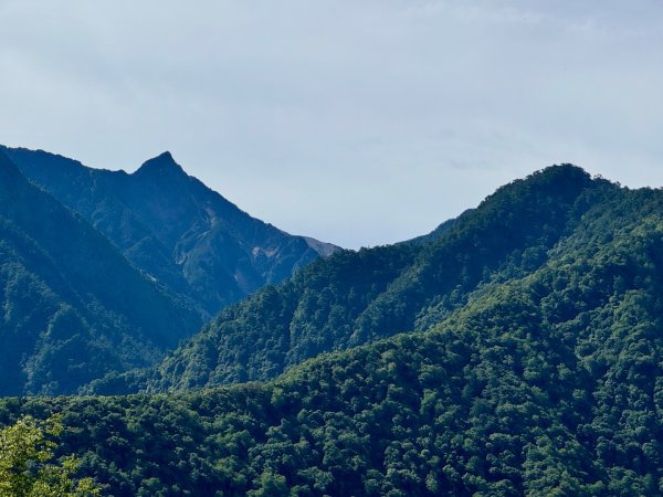 新中橫看玉山 首訪鹿林神木2836968