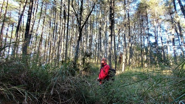 百岳觀景台:平多縱走2493432