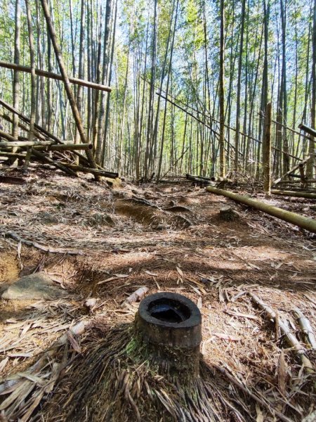 大雪山長壽三崠2691113
