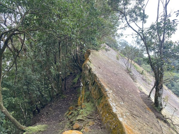 坐公車接駁的神仙縱走2707414