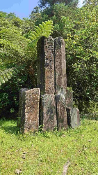 20250523千階嶺步道-平湖東西步道-乾坑古道2796208