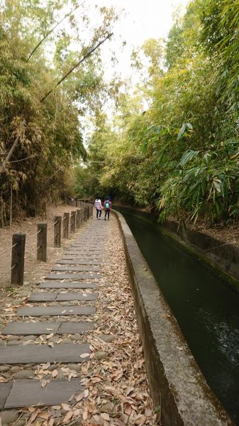 知高圳步道 O形268786