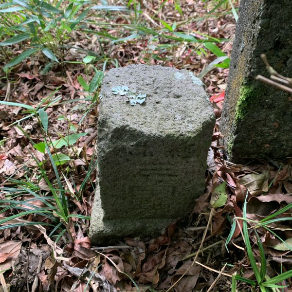 20240525高雄番子寮山-番子寮山主峰2517790