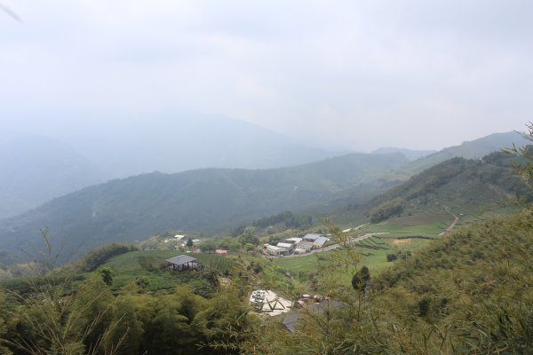 20210417雲林後棟仔山大尖二尖山1358887