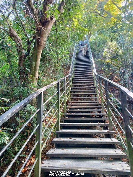 【雲林林內】台灣百大必訪步道。 龍過脈森林步道1952042