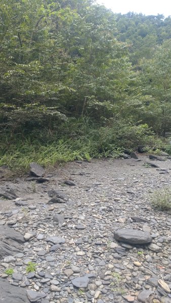 阿玉溪2553837