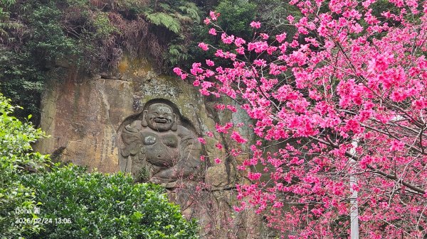 圓通寺烘爐地登山步道大O走3007081