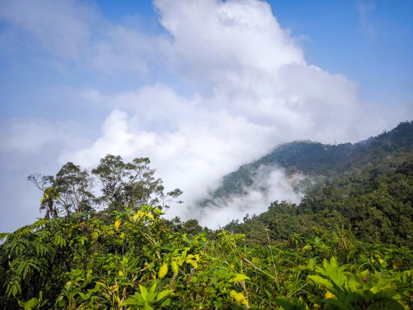 2026-02-08 藤枝山2998420