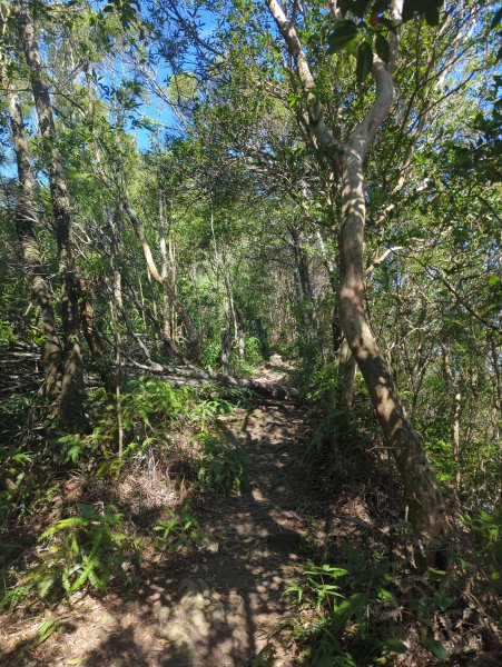 2025.10.10－微笑山線：【二格山系】皇帝殿稜線2919516