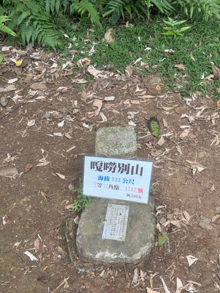 2025台北大縱走第二回合:1+2段2821301