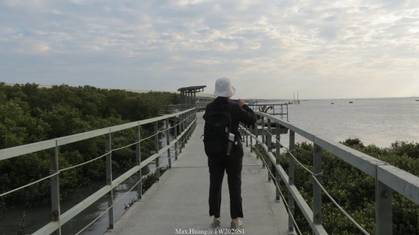 《彰化》海空夕照｜王功燈塔及芳苑海空步道健行賞冬候鳥202601102980327