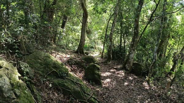 20251004 馬那邦山 - 珠湖 登山口2904925