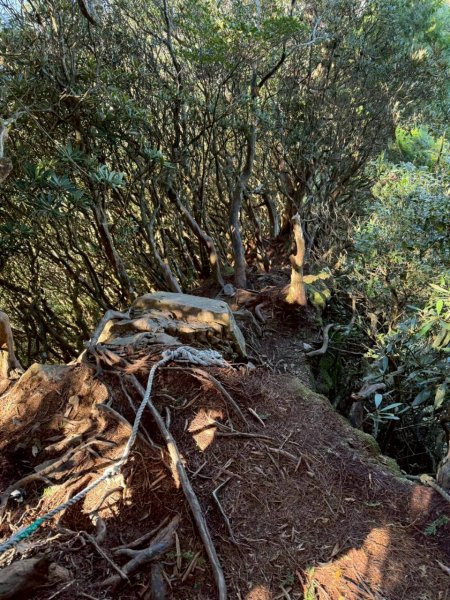 🌈11/9(日)高島縱走~高台山連走島田山山徑✨FB：熊熊趴爬走🌈2932489