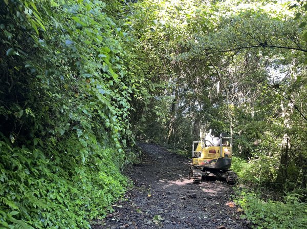 2025_0621 霞喀羅國家步道(養老端)2819861