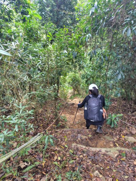 鳳鳴古道 鳳鳴山 南隘勇（南長城）古道 三湖山 八達嶺（龍骨）古道 綠色古道 延平古道2975303