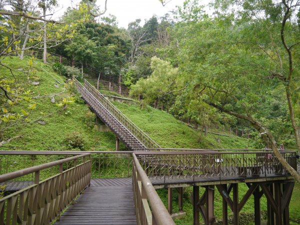 知本森林國家公園園區&步道1320617