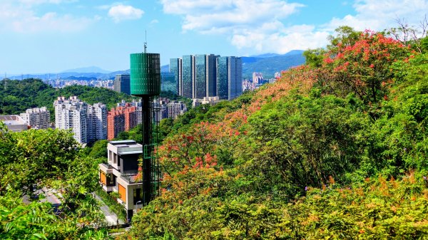 大尖山