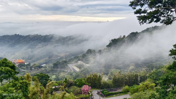 #雲瀑 #雲海 #琉璃光 #天空之城（林口）#觀音山 #林梢步道 3/13008580