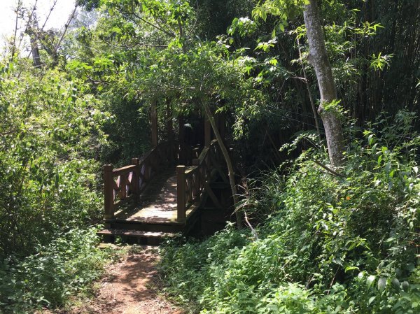 造橋口山古道434823