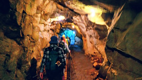 南九州－屋久島繩文杉步道3063471